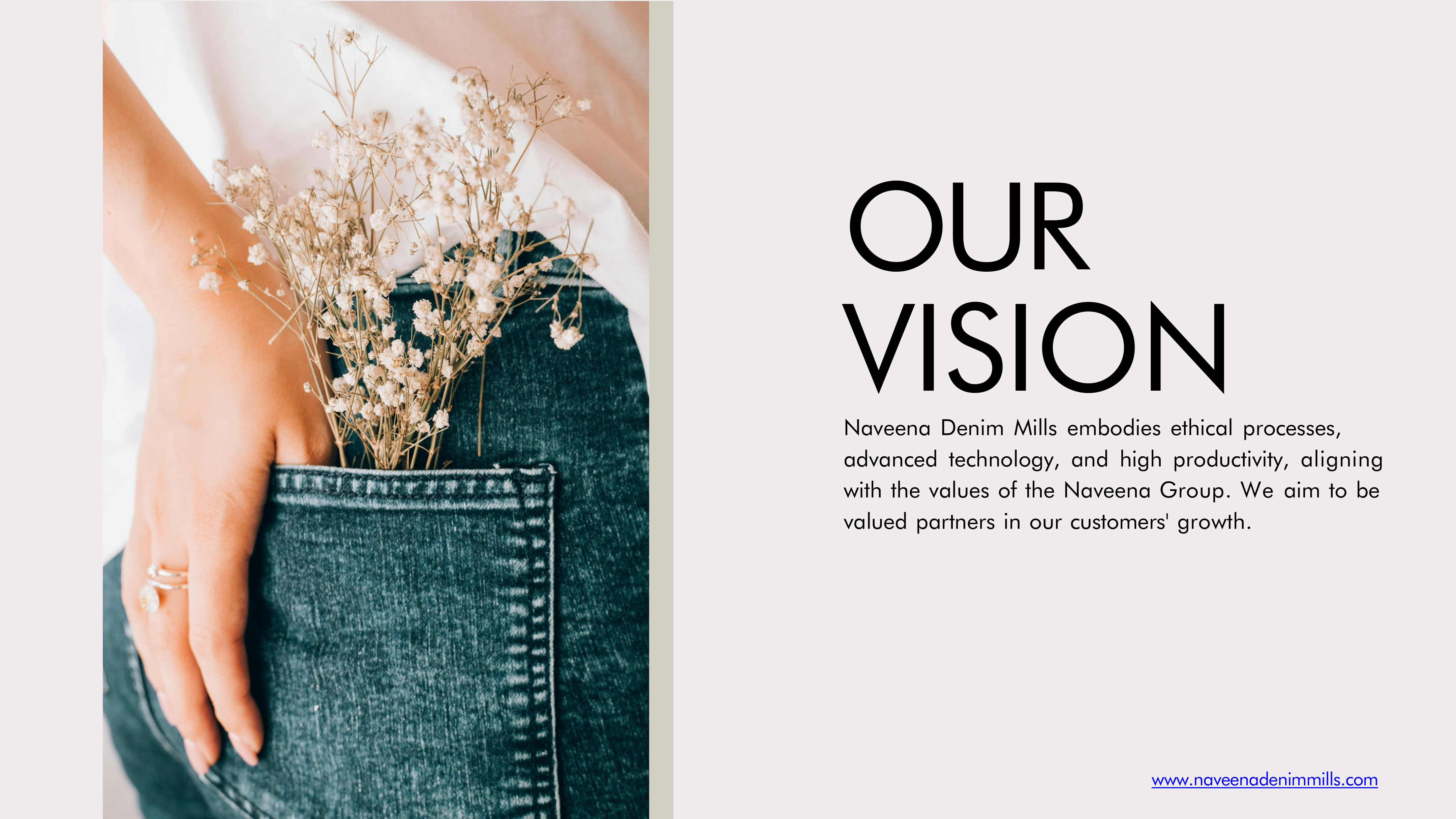 Our Vision